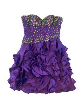 Disney Forever Enchanted Women's Purple Embellished Cinderella Dress - 10